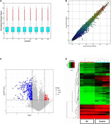 Differentially Expressed Circular RNAs and Their Therapeutic Mechanism in Non-segmental Vitiligo Patients Treated With Methylprednisolone